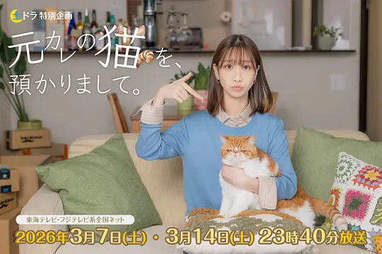 我收留了前男友的猫第01集
