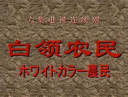 白领农民第01集