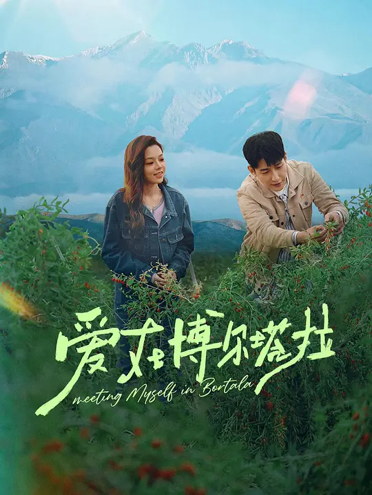 爱在博尔塔拉第04集